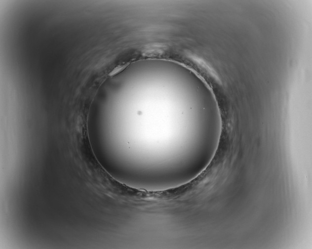 X0000099941445200805231241