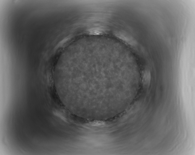 X0000099941446200805231241