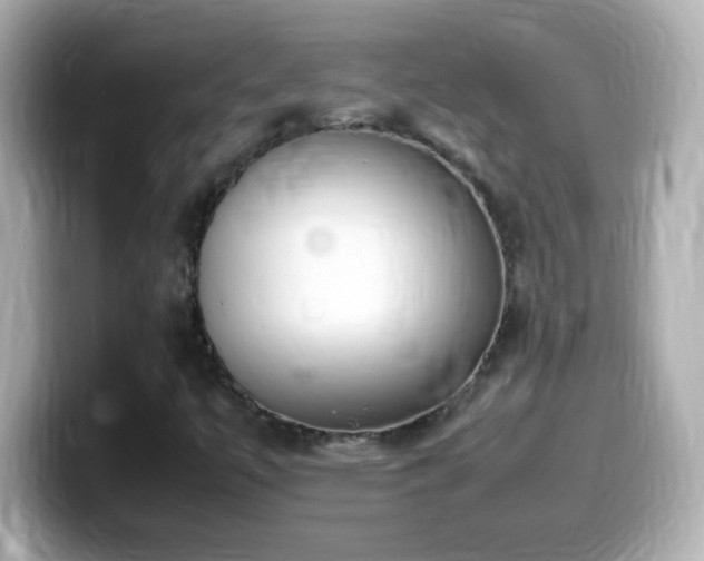 X0000099941447200805231241