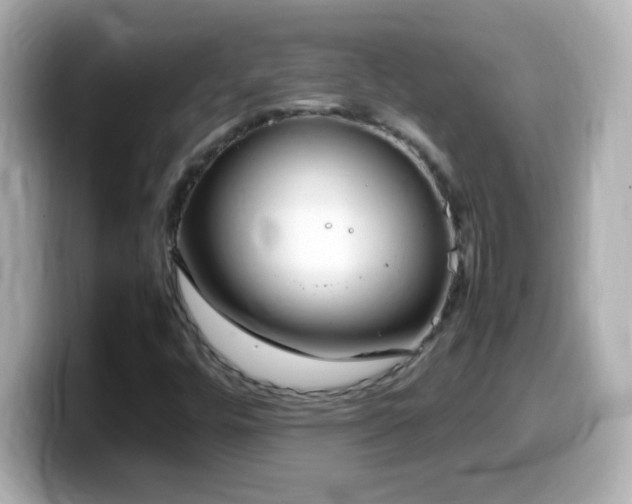 X0000099941448200805231241