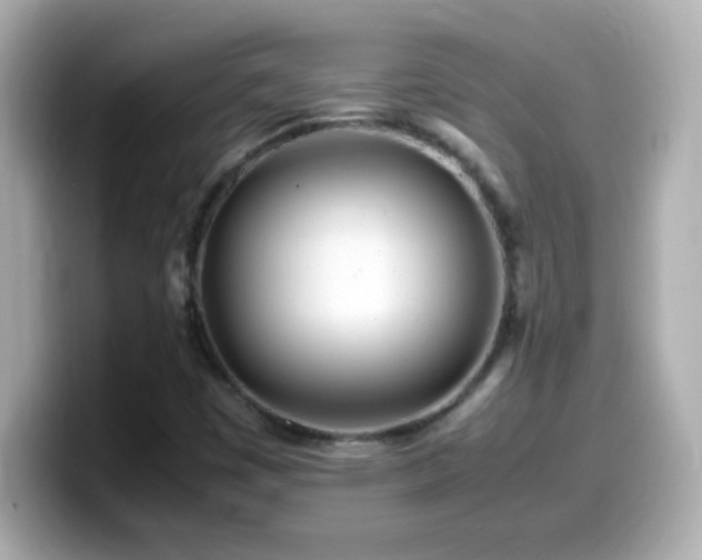 X0000099941449200805231241