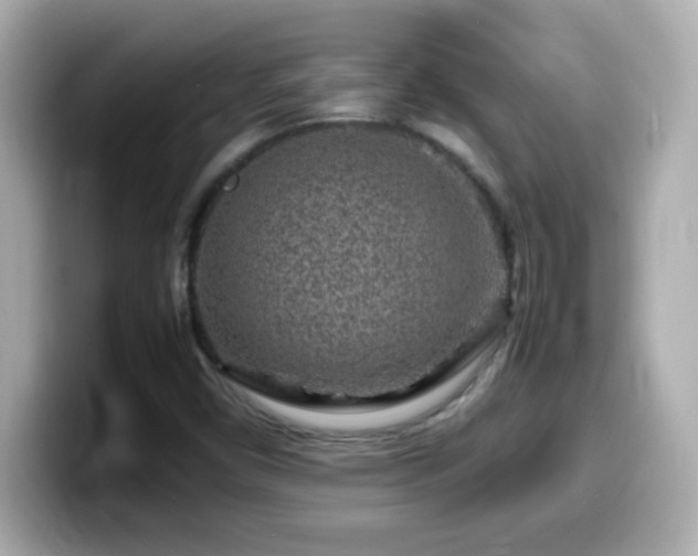 X0000099941450200805231241
