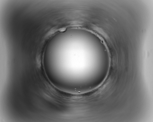 X0000099941451200805231241
