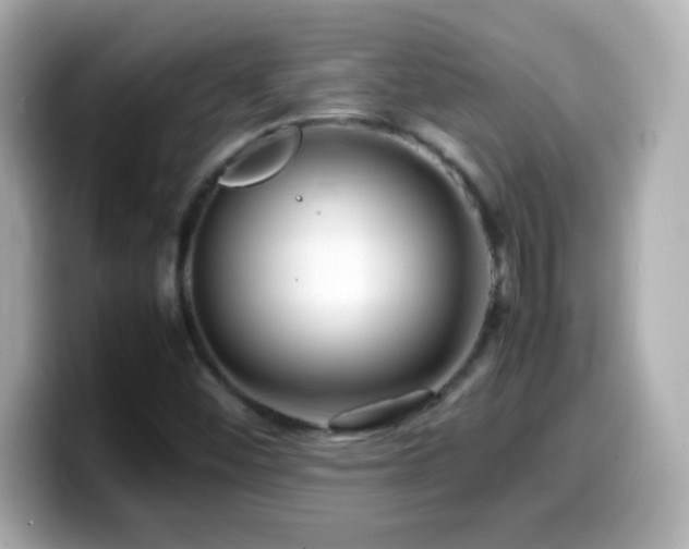 X0000099941452200805231241