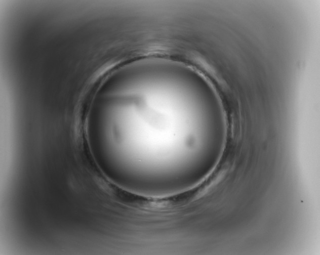 X0000099941453200805231241