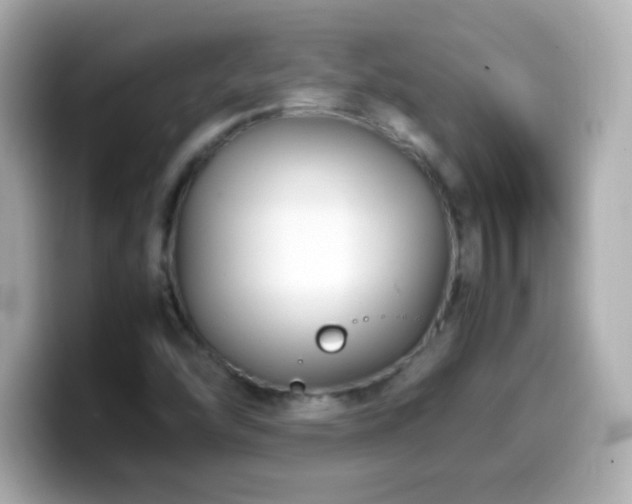 X0000099941454200805231241