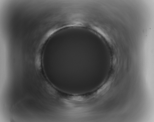 X0000099941455200805231241