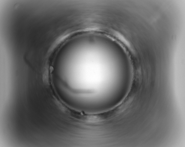 X0000099941456200805231241