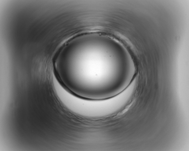 X0000099941457200805231241