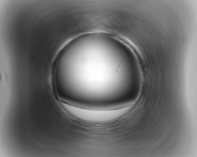 X0000099941460200805231241