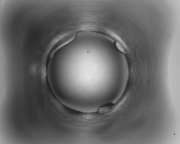 X0000099941461200805231241