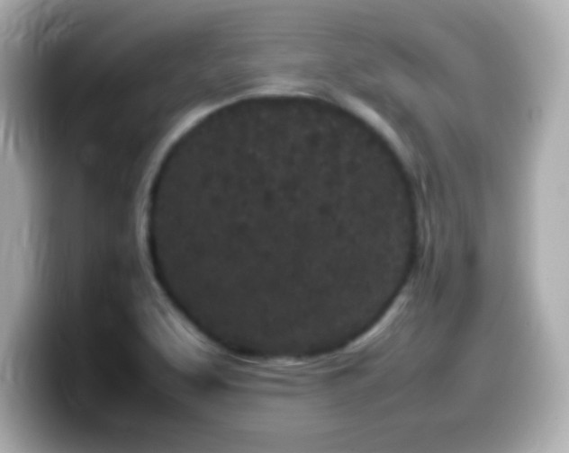 X0000099941463200805231241