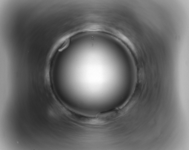 X0000099941464200805231241