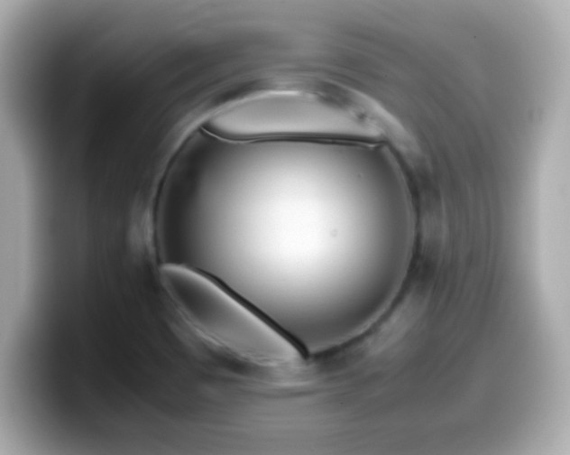 X0000099941465200805231241