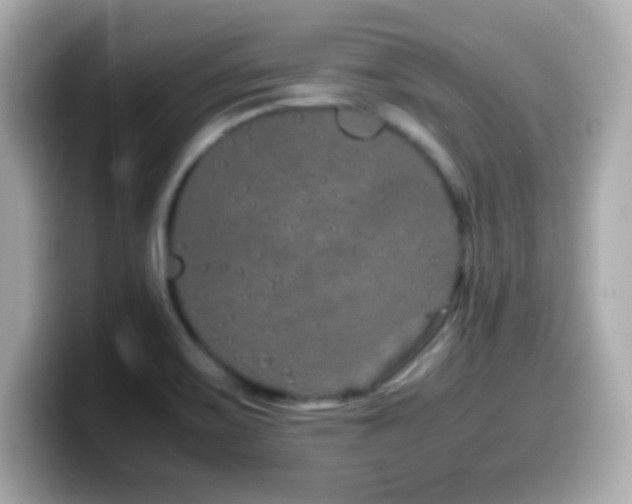 X0000099941467200805231241