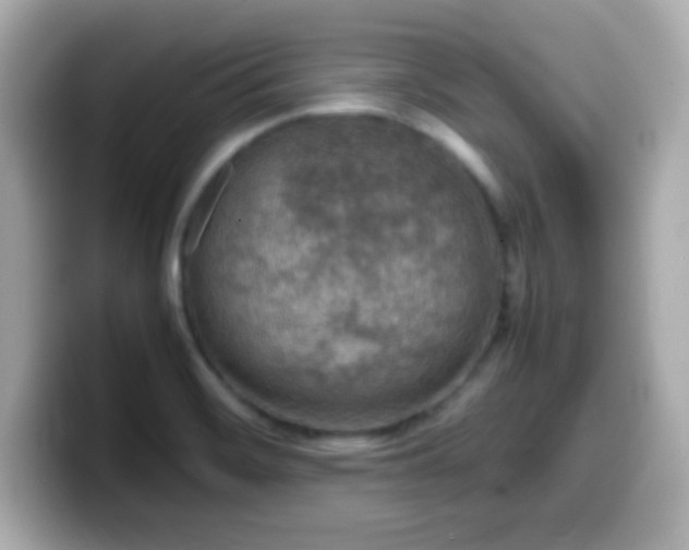 X0000099941468200805231241