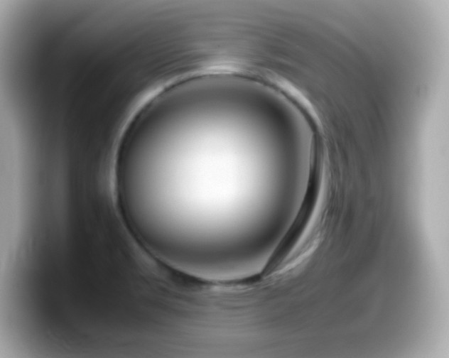 X0000099941469200805231241