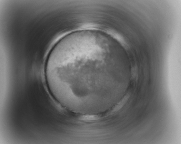 X0000099941470200805231241