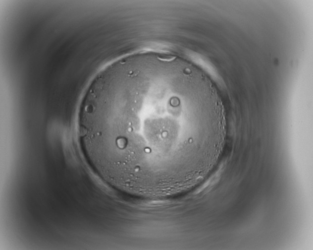 X0000099941471200805231241