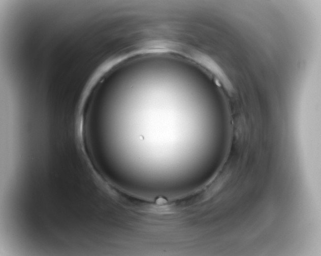 X0000099941472200805231241