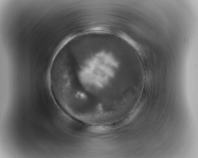 X0000099941474200805231241