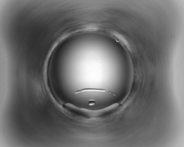 X0000099941475200805231241