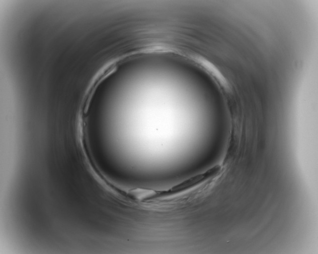 X0000099941476200805231241