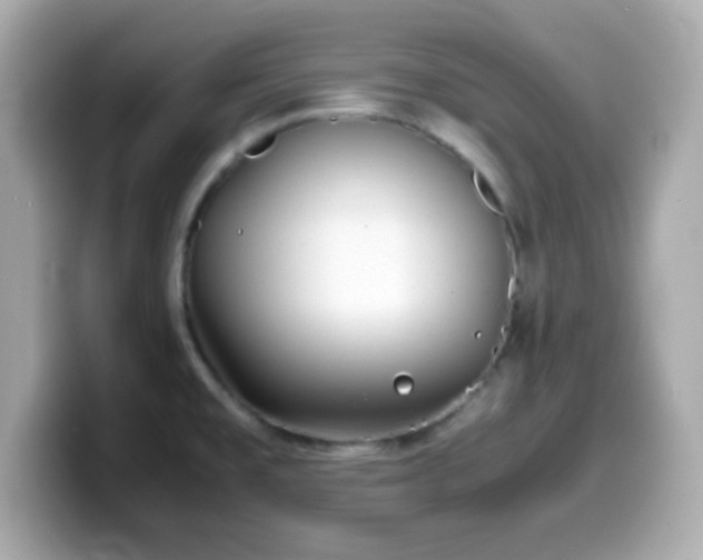 X0000099941477200805231241