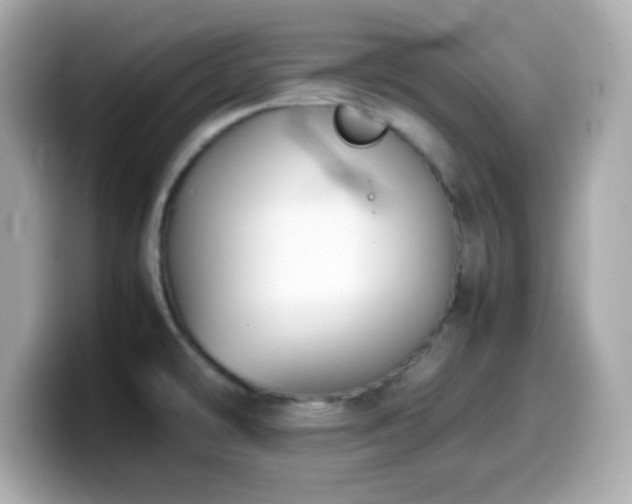 X0000099941478200805231241