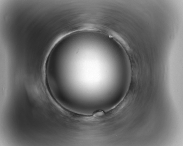 X0000099941479200805231241