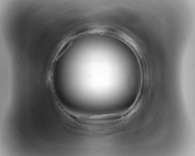 X0000099941481200805231241