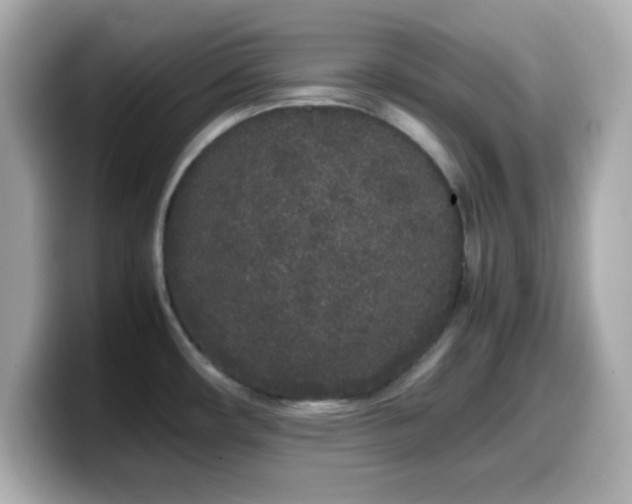 X0000099941482200805231241