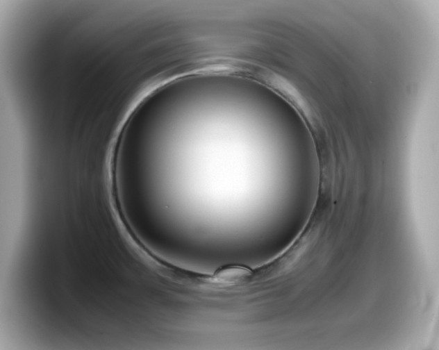 X0000099941483200805231241