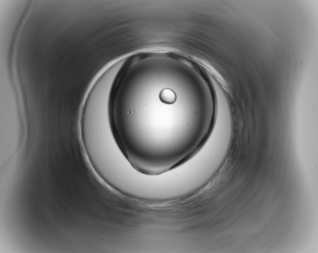 X0000099941484200805231241