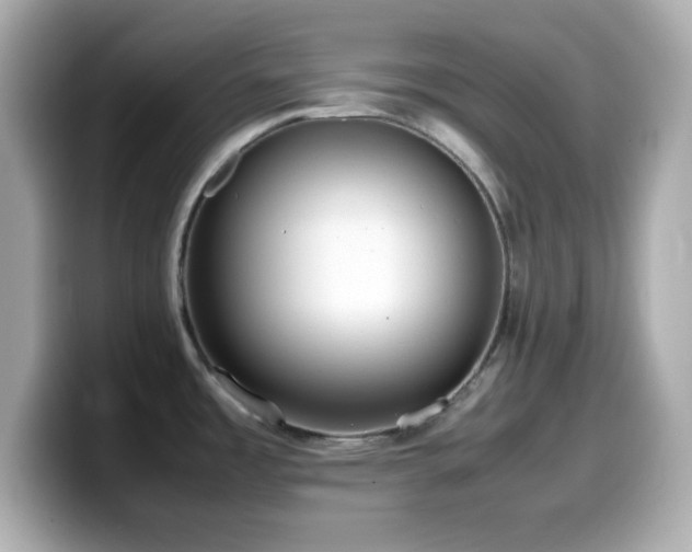 X0000099941485200805231241