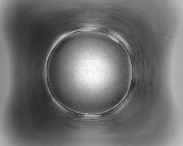 X0000099941487200805231241