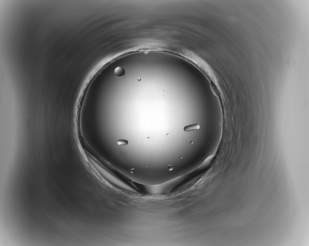 X0000099941488200805231241