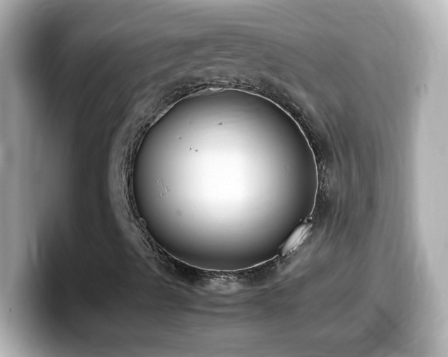 X0000099941489200805231240