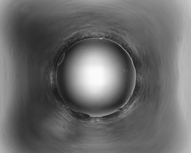 X0000099941490200805231240