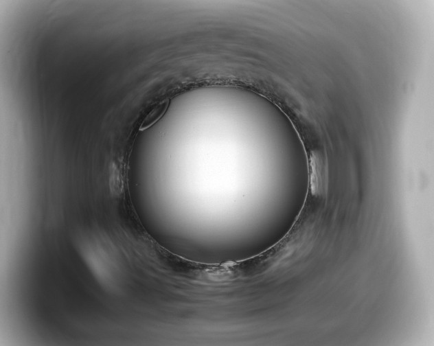 X0000099941491200805231240