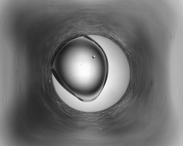 X0000099941492200805231240