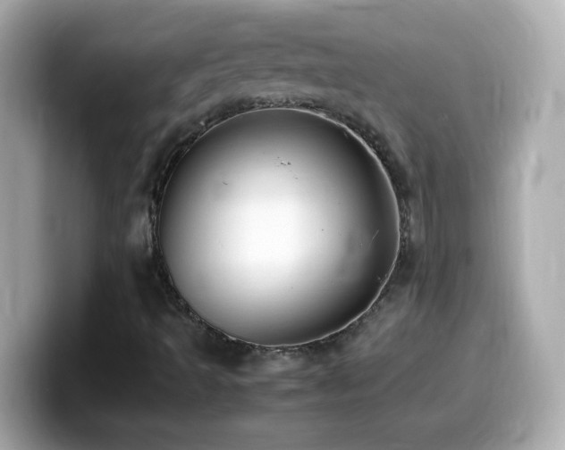 X0000099941493200805231240