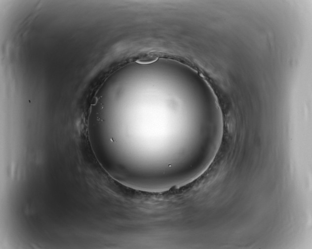 X0000099941495200805231240
