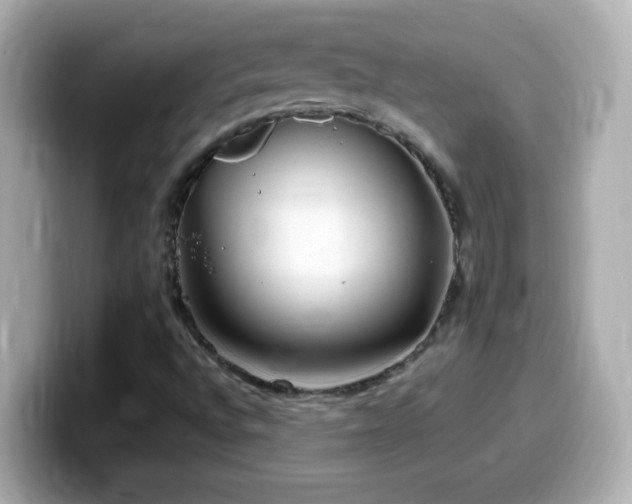 X0000099941496200805231240
