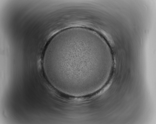 X0000099941497200805231240