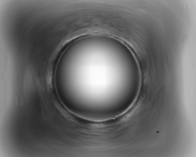X0000099941499200805231240