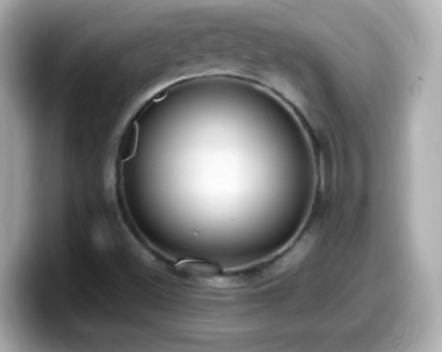 X0000099941500200805231240