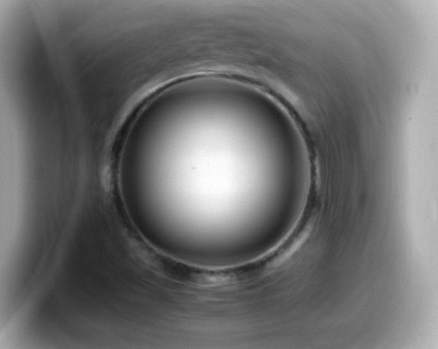 X0000099941501200805231240