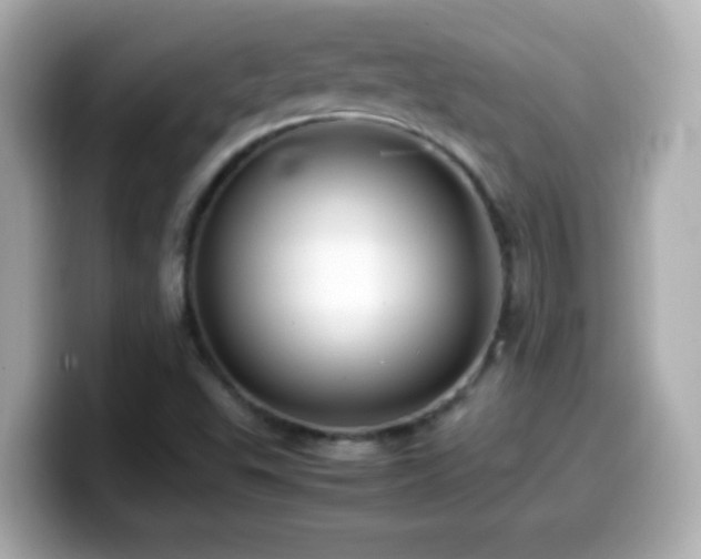X0000099941503200805231240