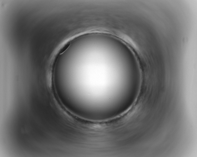X0000099941504200805231240